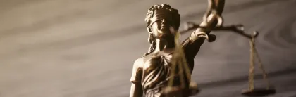 Representación de las diferentes ramas de derecho