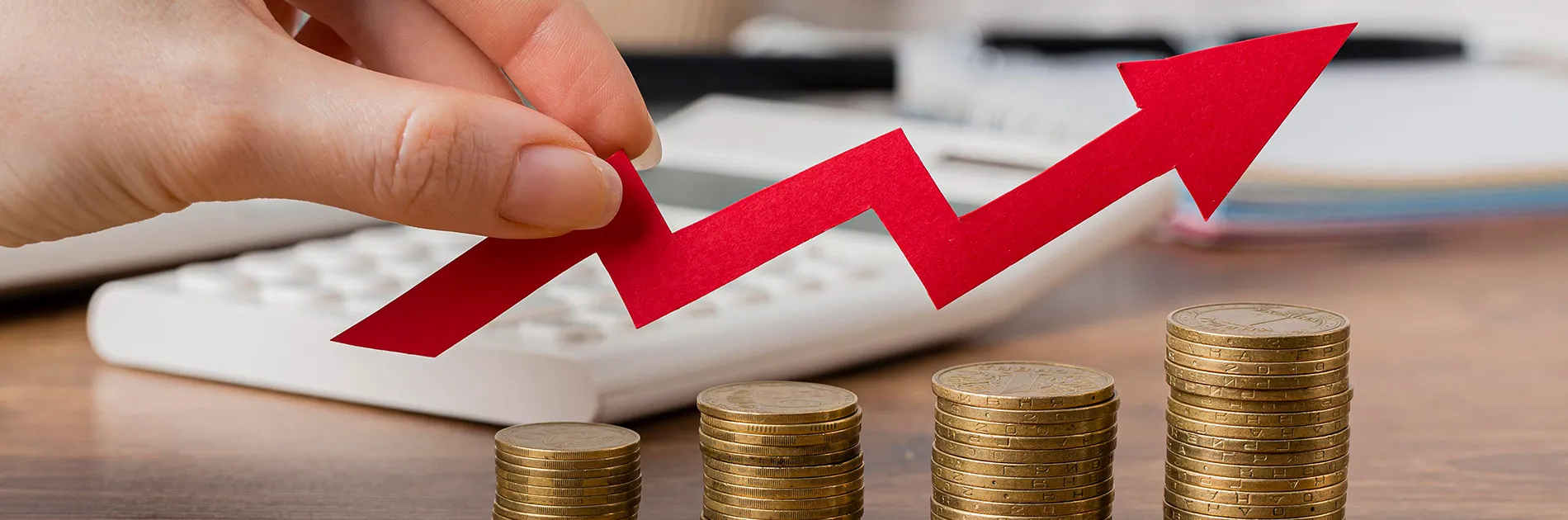 Monedas creciendo en referencia a la rentabilidad financiera