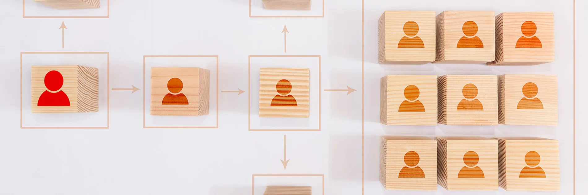 Representación de la estructura organizativa de una empresa