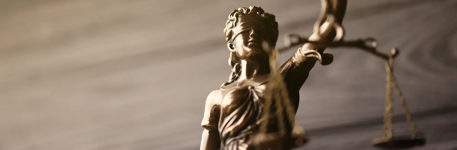 Representación de las diferentes ramas de derecho