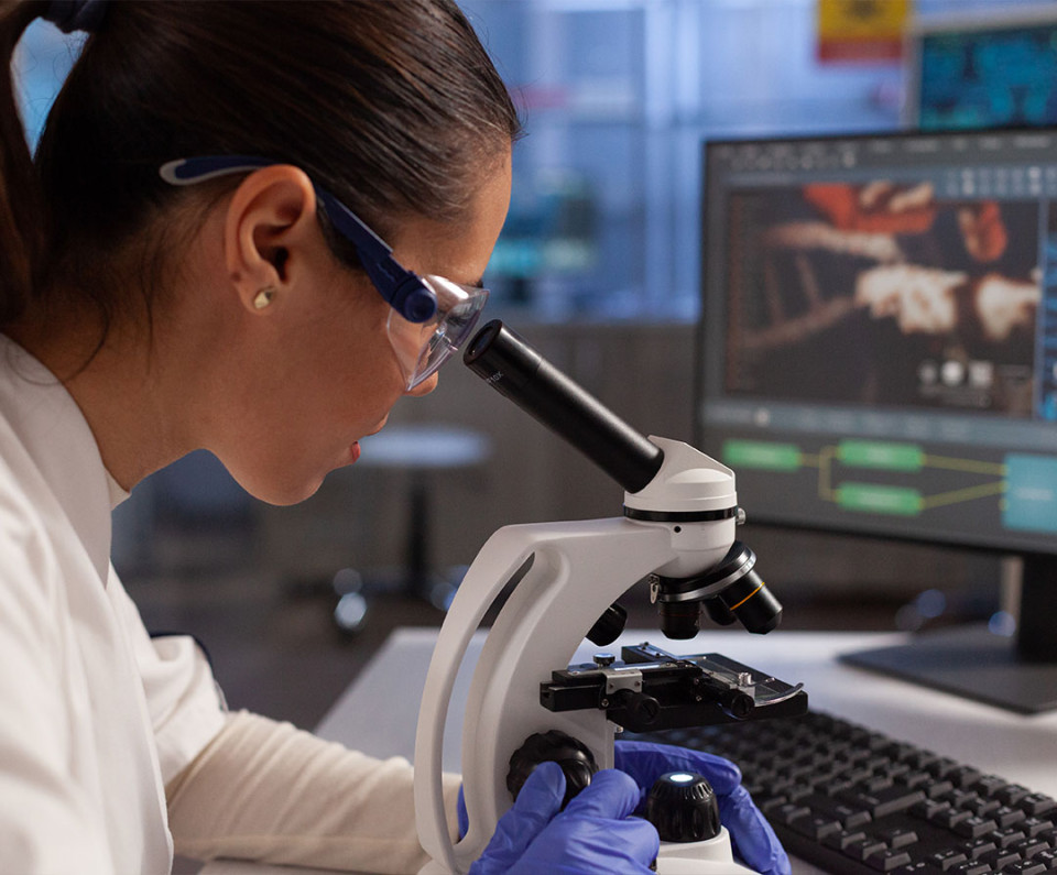 Requisitos Ayudas a Proyectos de Investigación Javier Imbroda