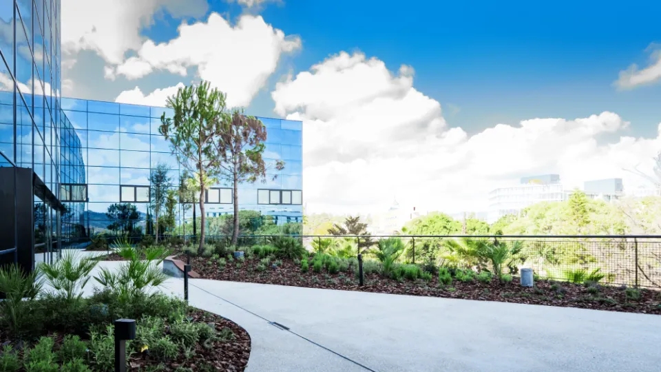 Alquiler de espacios de UTAMED, patio de UTAMED